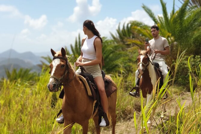 3 Hours Horseback Riding from Nature Trails to Sofa Stone - Riding from the stable toward the St. Kitts hills