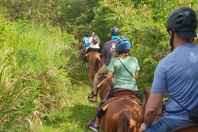 3 Hours Horseback Riding from Nature Trails to Sofa Stone - Riding back down the mountain