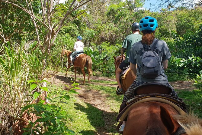 3 Hours Horseback Riding from Nature Trails to Sofa Stone - What pickup adds to the day