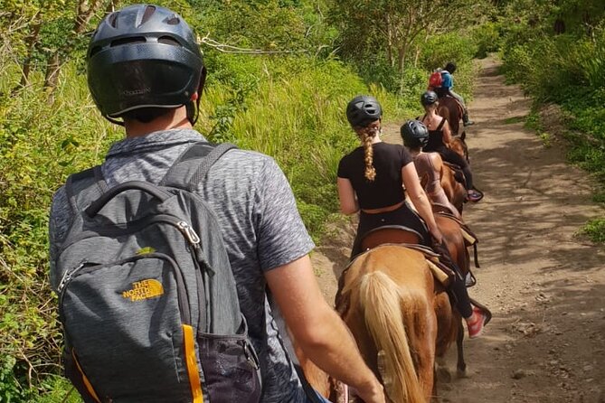 3 Hours Horseback Riding from Nature Trails to Sofa Stone - Is $97.50 a fair price?