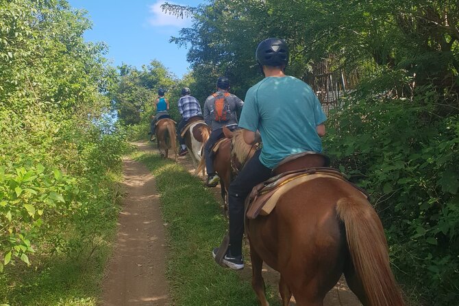 3 Hours Horseback Riding from Nature Trails to Sofa Stone - Horse welfare and comfort concerns