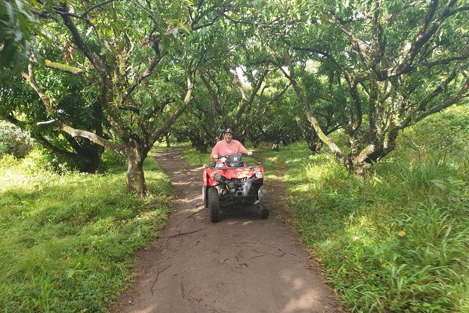 ATV Tour of St Kitts - Is $110 a fair price?