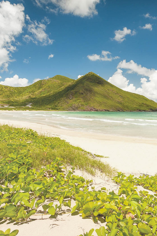 Basseterre: Highlights Capital and Beach Tour - Small details that make the day easier