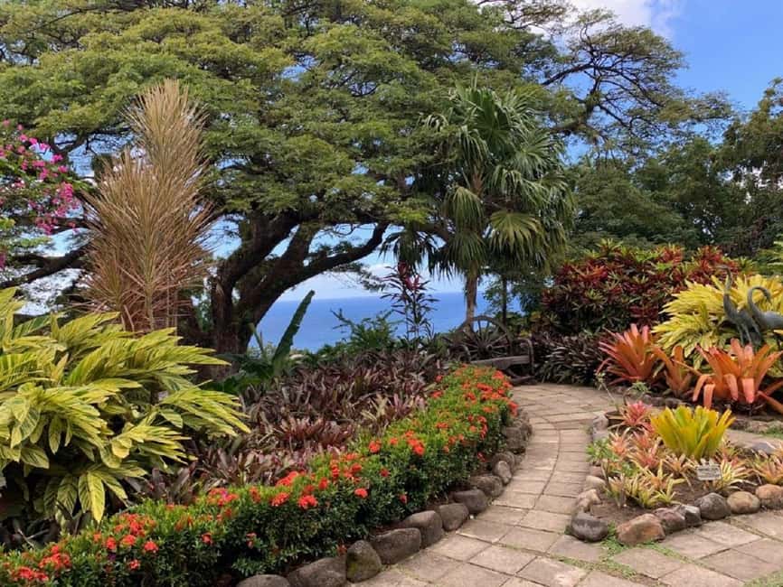 Basseterre: Plantation and Beach Extravaganza - Key points to know before booking