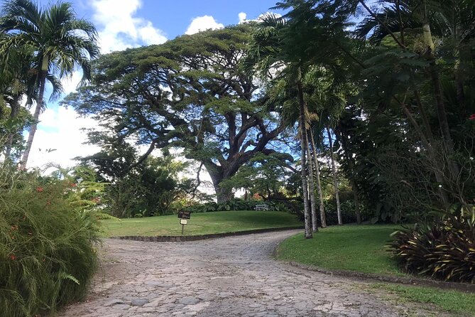Basseterre Plantation Private Half Day Tour - What the private guide adds