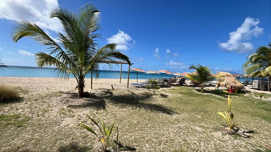 Basseterre: St. Kitts and Nevis Catamaran Tour with Lunch - Practical advice for a smoother day