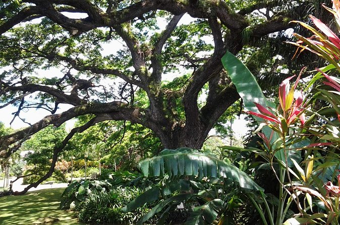 Best of St. Kitts Highlight Tour. - Timothy Hill and the best quick view