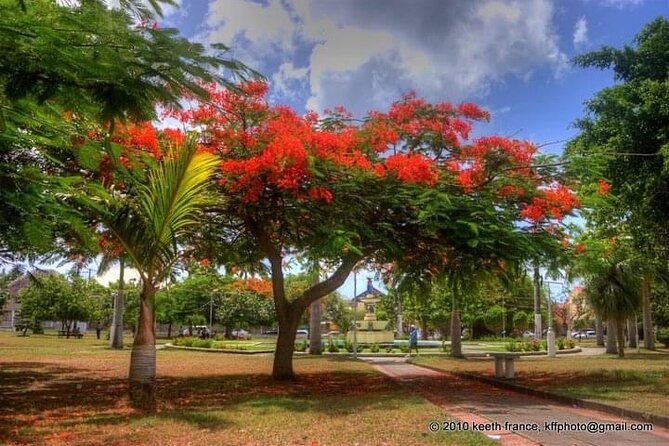 Best of St. Kitts Private Half Day Tour - Caribelle Batik and a hands-on local craft