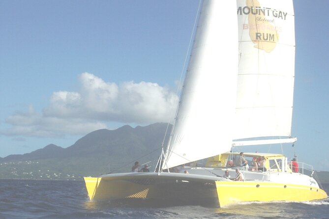 Catamaran Sunset and Cocktail Cruise - Practical details that affect your evening