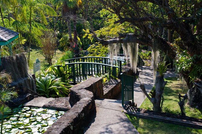 Discover Nevis, Island Tour (Private) - Transport, timing, and what to clarify
