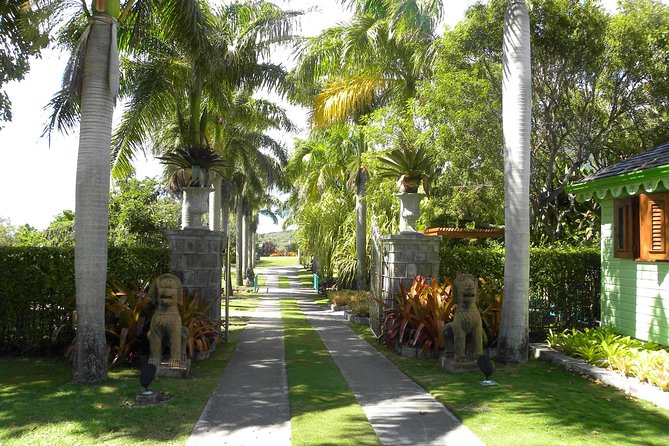 Discover Nevis, Island Tour (Private) - Montpelier Estate and the botanical gardens