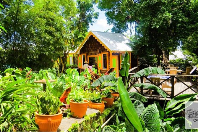 Full Island Private Tour - Romney Manor and Caribelle Batik
