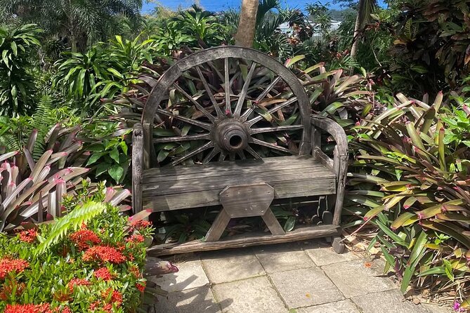 Half-Day Island Adventure of St Kitts - Black Rocks brings you to volcanic St. Kitts