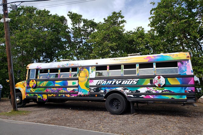 Half Day St. Kitts Party Bus City Excursion and Beach - Frigate Bay and three hours by the sea