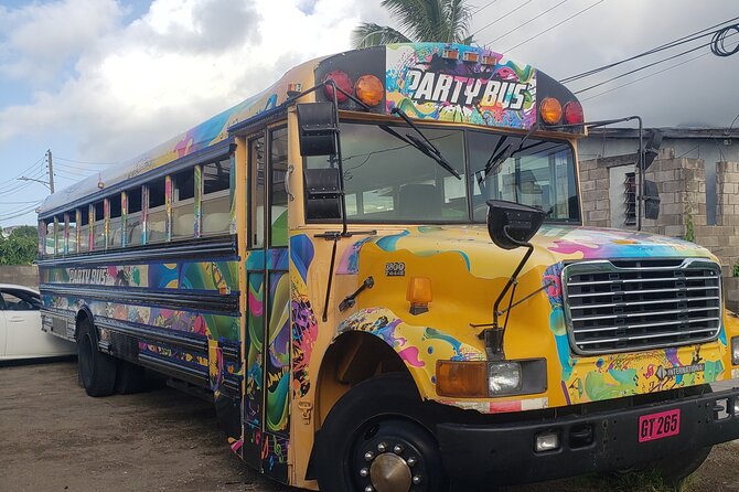 Half Day St. Kitts Party Bus City Excursion and Beach - Comfort, air-conditioning, and group size