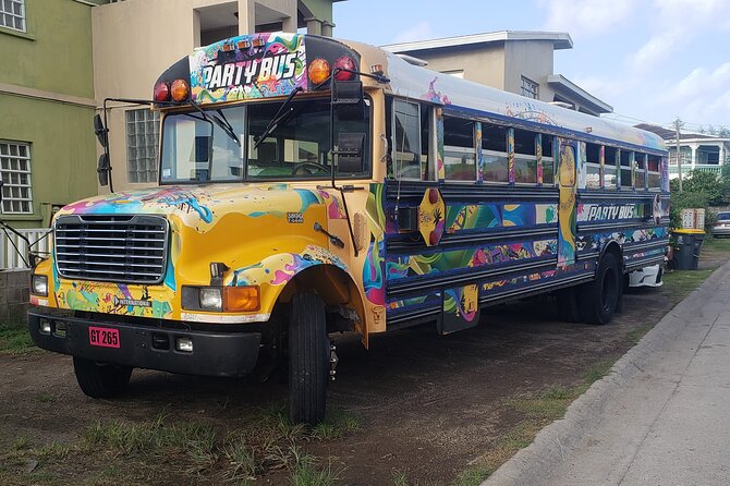 Half Day St. Kitts Party Bus City Excursion and Beach - Is $38 a good deal?