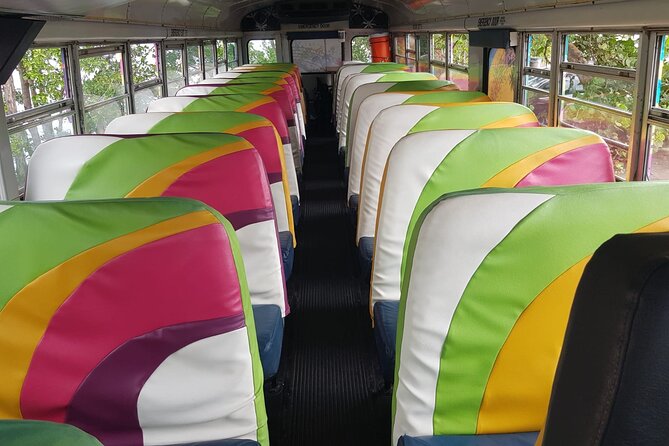 Half Day St. Kitts Party Bus City Excursion and Beach - Who should book this excursion?
