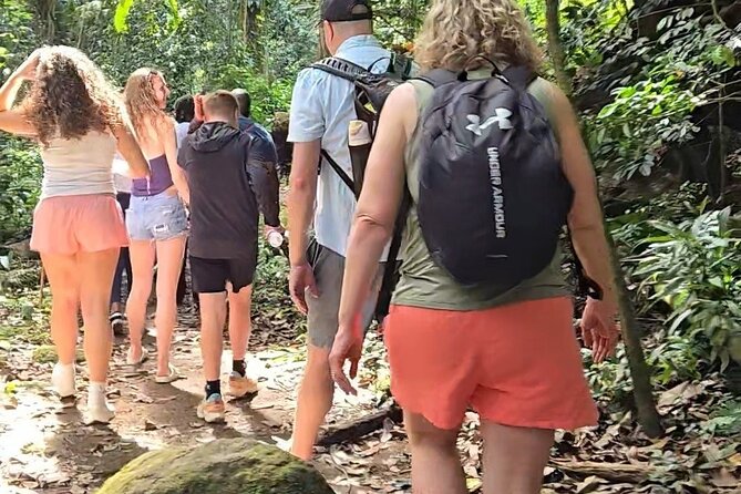 Half-Day St. Kitts Rainforest Hike - Key points to know before you book