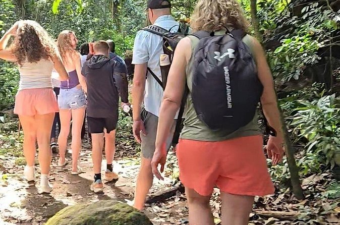 Half-Day St. Kitts Rainforest Hike - Is $71 a fair price?