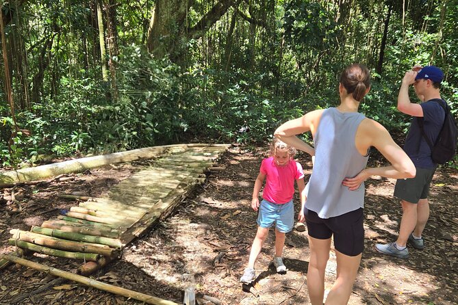 Half-Day St. Kitts Rainforest Hike - Riding to the Wingfield-Phillips trail