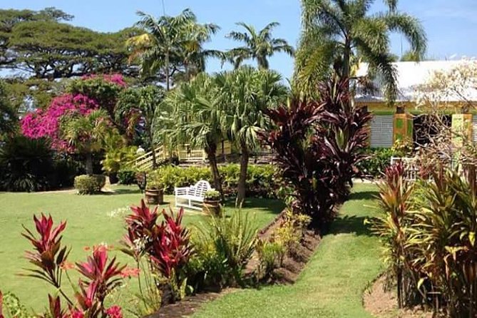 Half-Island Tour of St Kitts - Romney Manor and its 1600s setting