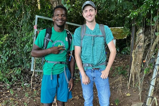 Hike St. Kitts: Highest peak Mount Liamuiga Volcano - Roots, Rocks, and the Hardest Sections