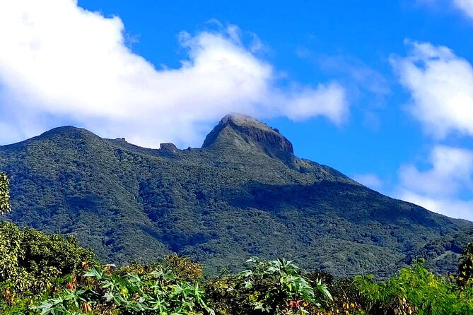 Hike St. Kitts: Highest peak Mount Liamuiga Volcano - Reaching the Crater Rim at 3,100 Feet