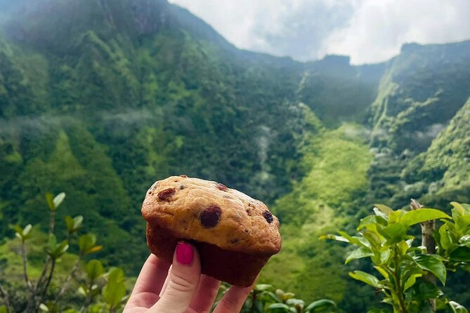 Hike St. Kitts: Highest peak Mount Liamuiga Volcano - Is $109.99 a Fair Price?