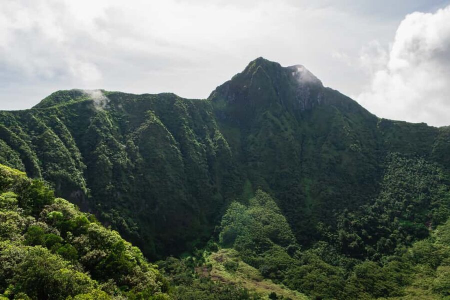 Hike St. Kitts: Highest peak Mount Liamuiga Volcano - Who should book this Mount Liamuiga excursion?