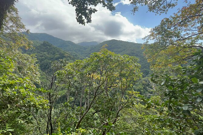 Hike St Kitts: Wingfield Rainforest and Romney Experience - Key points to know before you book