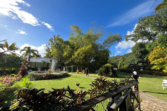 Hike St Kitts: Wingfield Rainforest and Romney Experience - Group size, timing, and value at $85