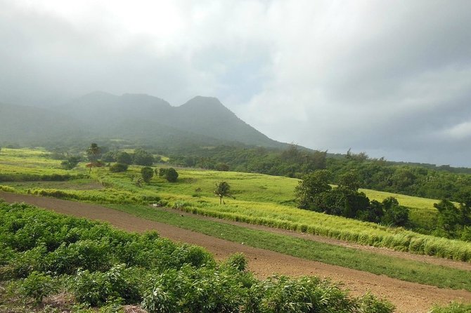 Hiking Mount Liamuiga Volcano in St Kitts - Rainforest to cloud forest at 3,000 feet