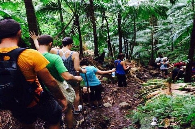 Hiking Mount Liamuiga Volcano in St Kitts - Should you book Mount Liamuiga?