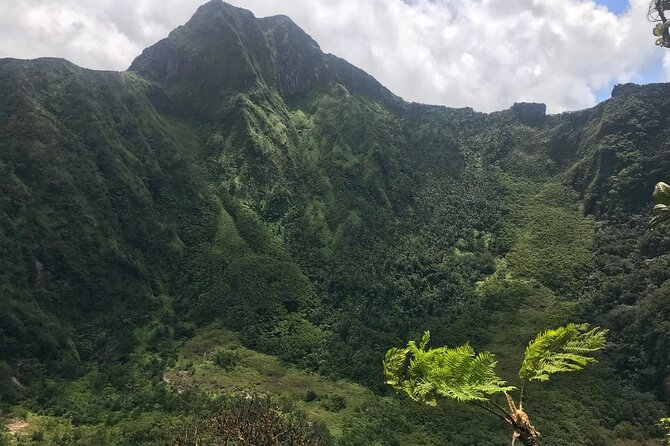 Hiking Mount Liamuiga Volcano in St Kitts - The lower trail, where the easy part ends