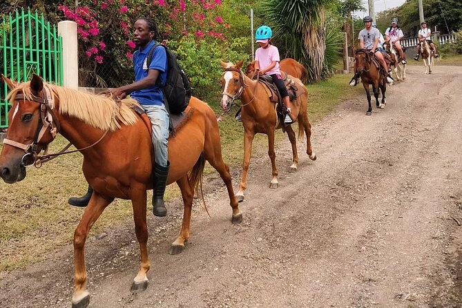 Horseback Riding, A Scenic Escape - The Basseterre View Comes After You Leave the Saddle