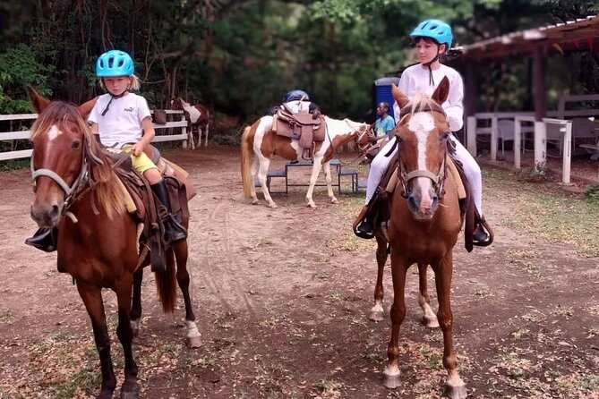 Horseback Riding, A Scenic Escape - Can You Gallop?