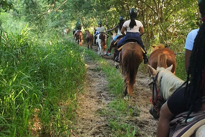 Horseback Riding, A Scenic Escape - Why the Small Group Matters