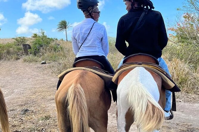 Horseback Riding, A Scenic Escape - The Orientation Makes the Ride More Approachable