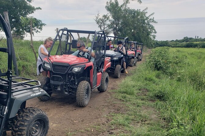 Jungle bikes Dune Buggy - Comfort, fitness, and what to expect on the trail