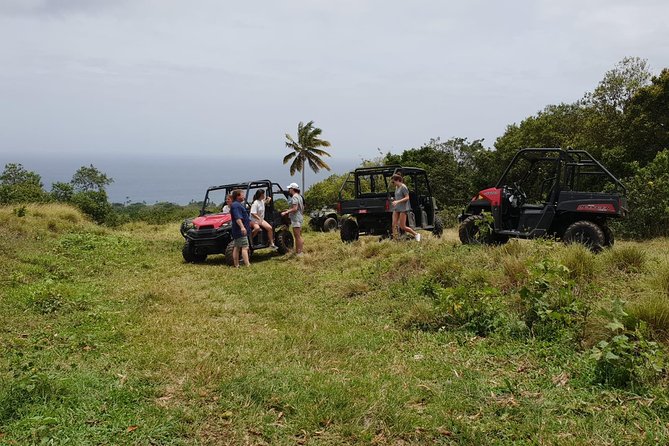 Jungle Bikes Dune Buggy & Beach Tours in St Kitts - Starting with pickup and a short safety lesson