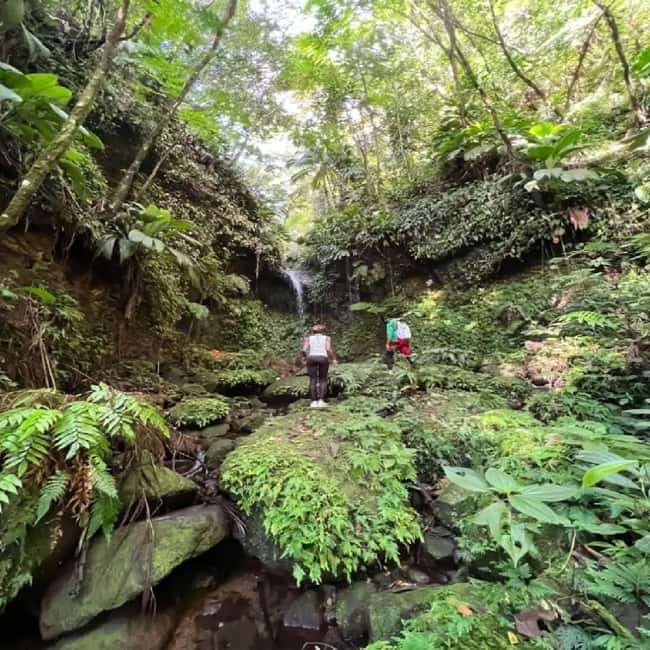 Lawyer Stephen Hike with Waterfall and Cave Hike - Key points before you book