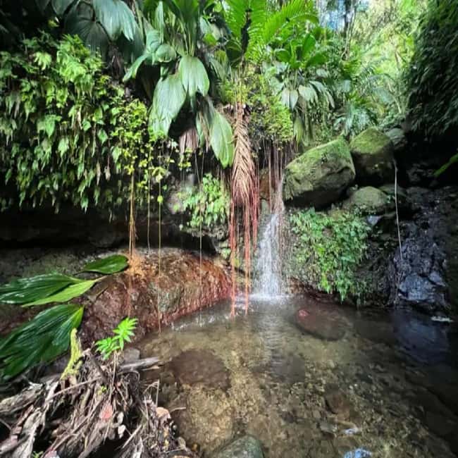 Lawyer Stephen Hike with Waterfall and Cave Hike - The first waterfall is your decision point