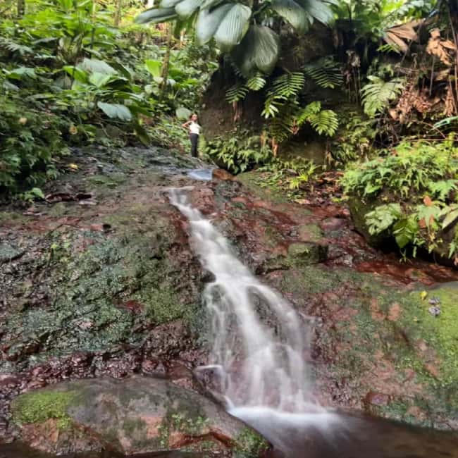 Lawyer Stephen Hike with Waterfall and Cave Hike - What the guide adds to the day