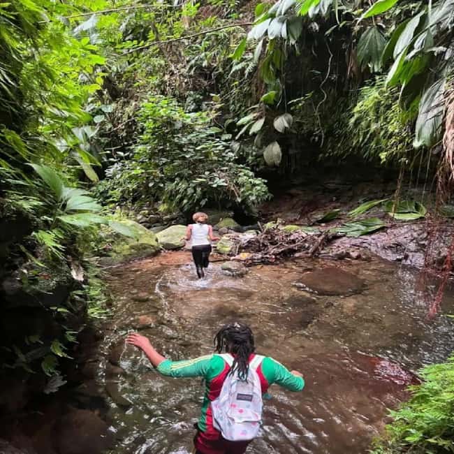 Lawyer Stephen Hike with Waterfall and Cave Hike - The $85 price and what it covers