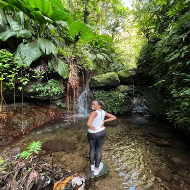 Lawyer Stephen Hike with Waterfall and Cave Hike - The cave adds more than a quick photo stop