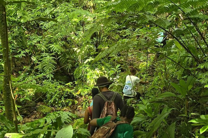 Lawyer Stephen’s Cave & Waterfalls Hike - Choosing Between the First and Second Waterfalls