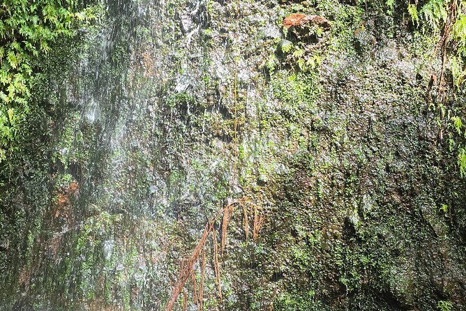 Lawyer Stephen’s Cave & Waterfalls Hike - Transport, Food, and the Practical Value of $95