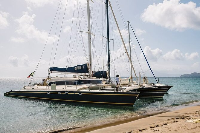 Leisure Full Day Catamaran (Blue, Aqua or LIC) - Who will enjoy this catamaran most