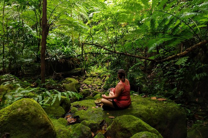 Mindfulness Rainforest Hike, Forest Bathing, Volcanic Hot Springs - A rainforest hike built around slowing down