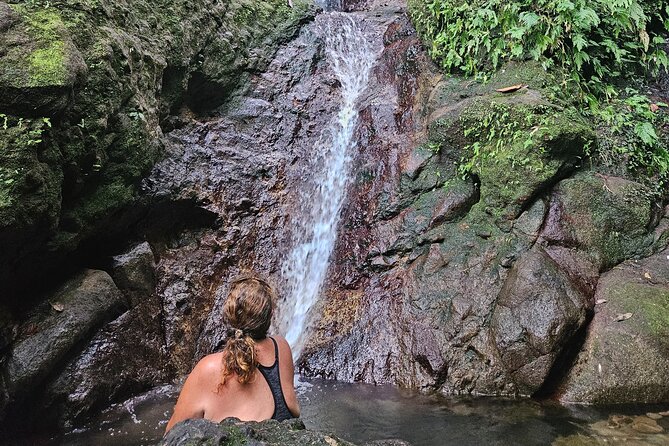 Mindfulness Rainforest Hike, Forest Bathing, Volcanic Hot Springs - Starting at the Oualie Water Taxi Pier
